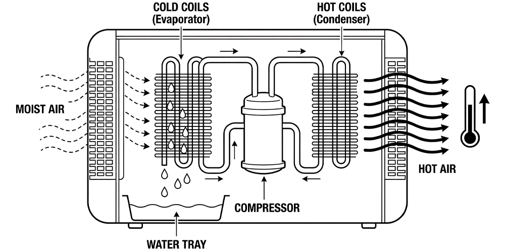 Technical schematic line art showing a dehumidifier's cross-section. Moist air enters from the left, passes over cold evaporator coils where water condenses into a tray, and then passes over hot condenser coils to exit as warm dry air, illustrating the thermodynamic heating effect.