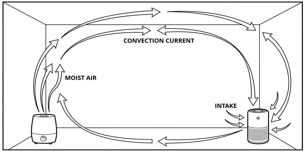 Diagram showing the ideal placement of a humidifier and air purifier across the room from each other. It illustrates a "Convection Current" where the humidifier pushes moist air out and the purifier pulls air in, cycling the entire room effectively while preventing the filter from getting damp.