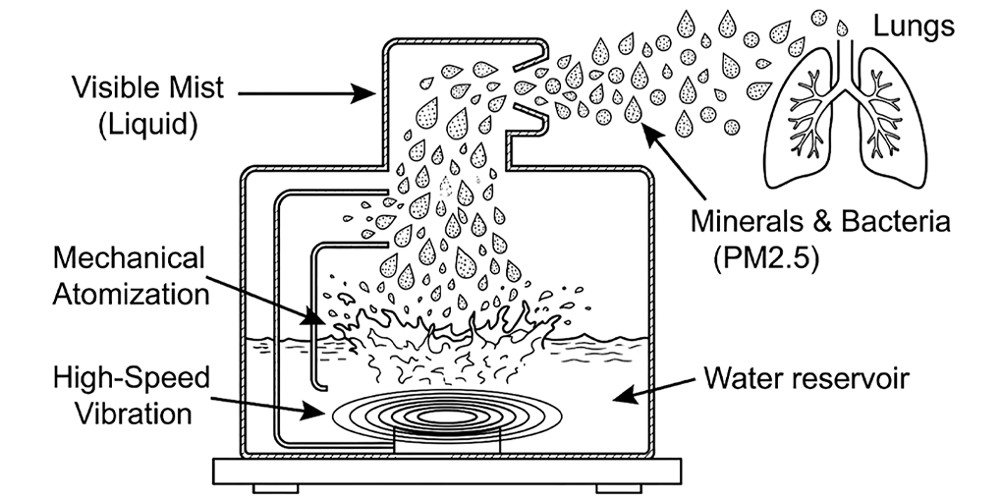 A schematic diagram illustrating how a dehumidifier works. It shows three steps: 1. Intake of humid air by a fan; 2. Condensation on cold coils where water drips into a tray; and 3. Exhaust of warm dry air after passing over hot coils.