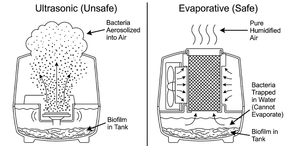 A side-by-side comparison showing the bacterial transmission risk. Left: Ultrasonic humidifier aerosolizing harmful bacteria and minerals into the air for inhalation. Right: Evaporative humidifier physically trapping bacteria in the tank water, releasing only pure, clean vapor.