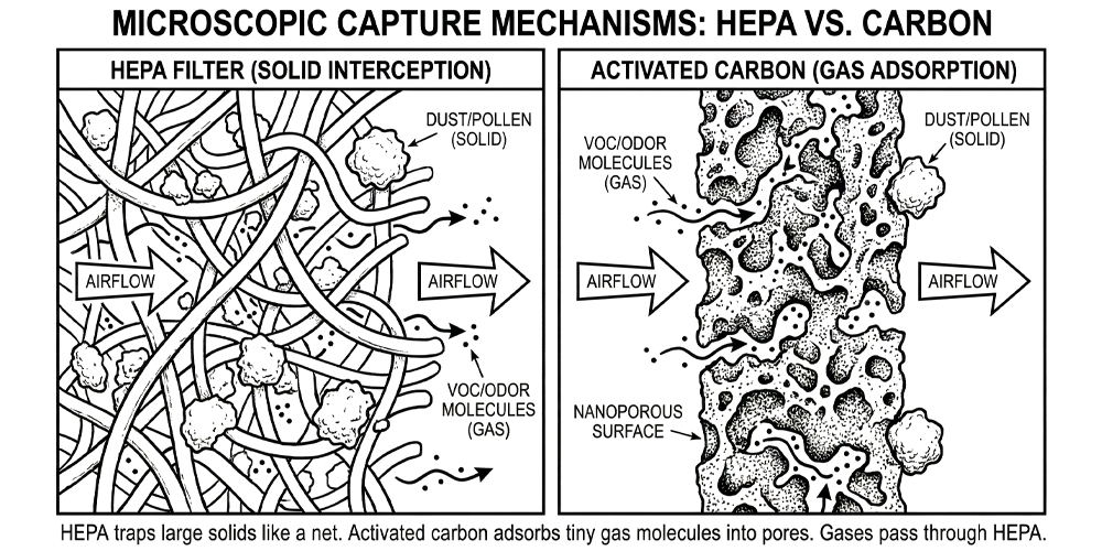 Split-screen microscopic schematic showing filtration mechanisms. The left side shows HEPA fibers physically trapping solid particles like dust and pollen while allowing gases to pass. The right side shows activated carbon's nanoporous surface adsorbing tiny gas molecules like VOCs.